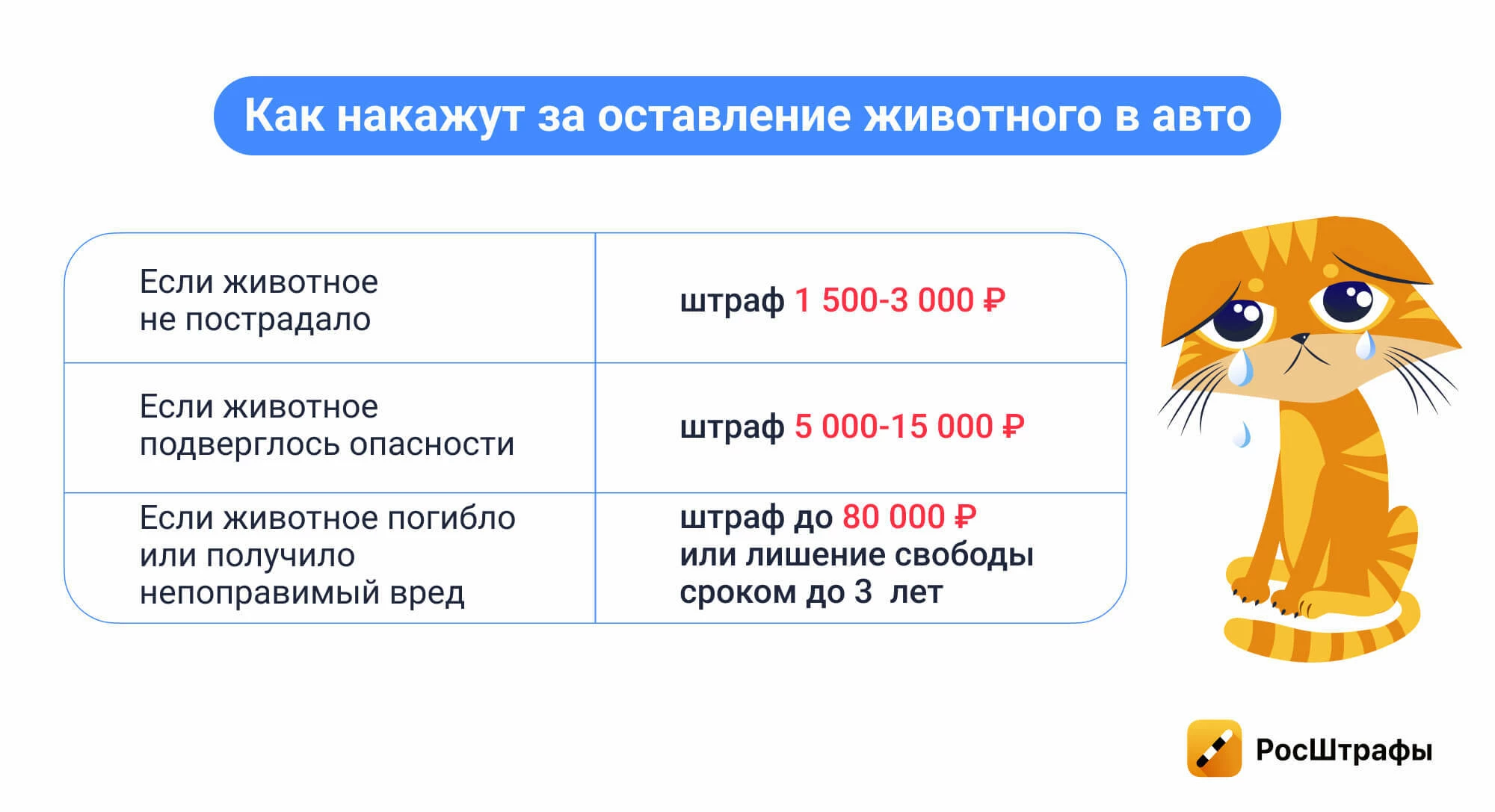 Штраф за оставление ребенка или животного в машине: когда и сколько