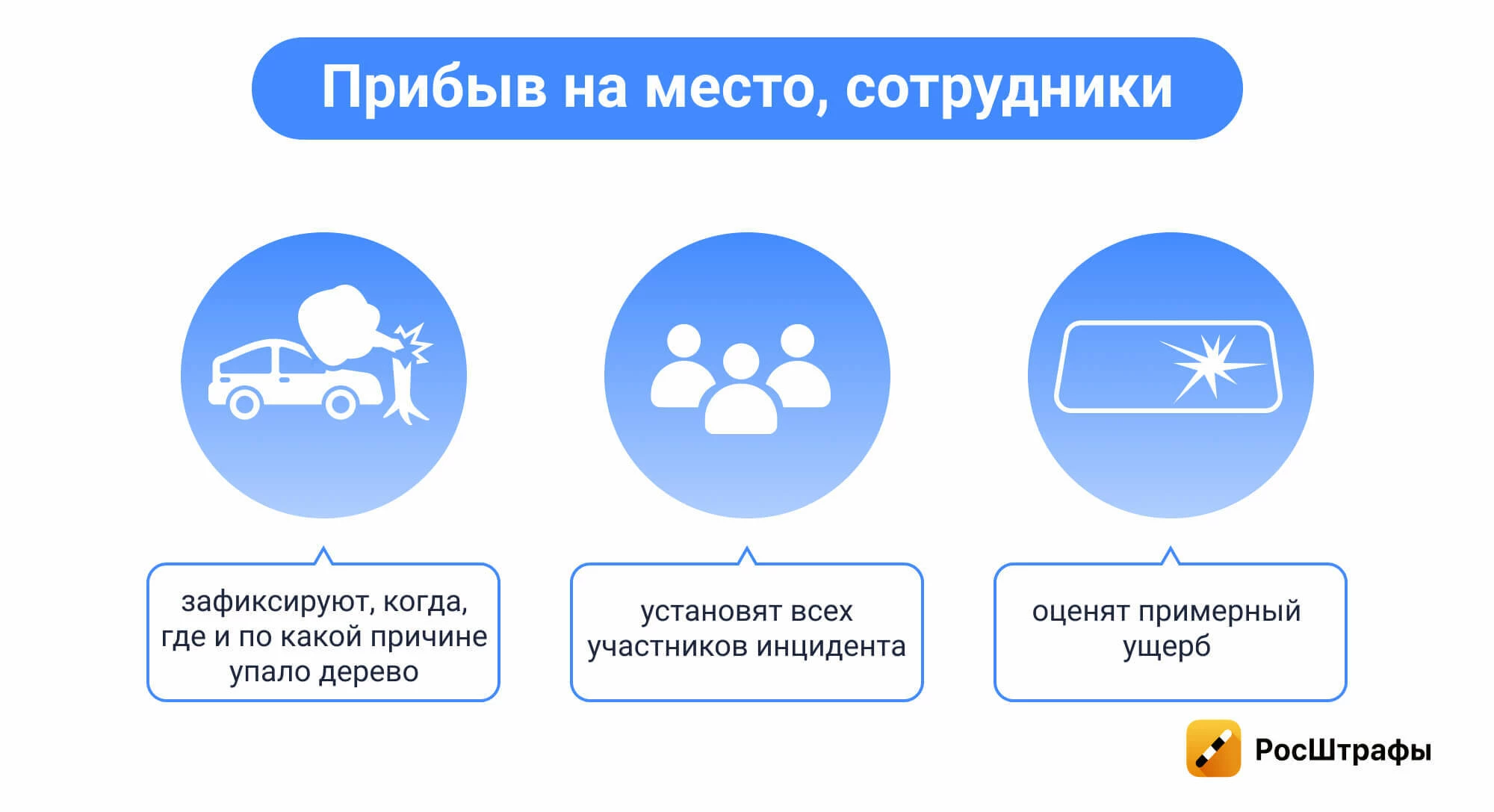 Разбитое стекло автомобиля: кого привлекать к ответственности
