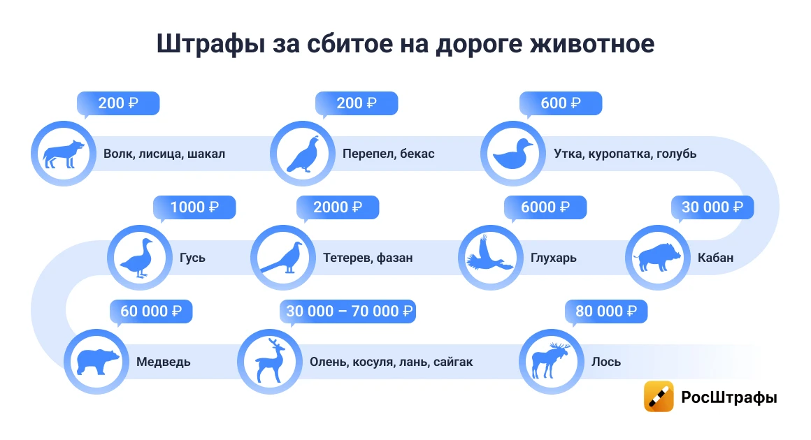 Сбитое на дороге животное: кто и за что заплатит
