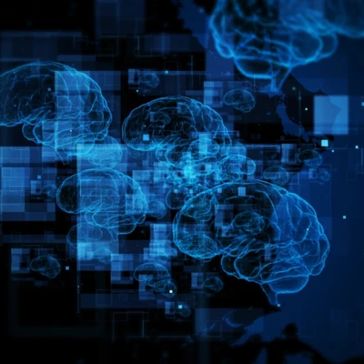 ИИ хотят задействовать в принятии экзаменов на права