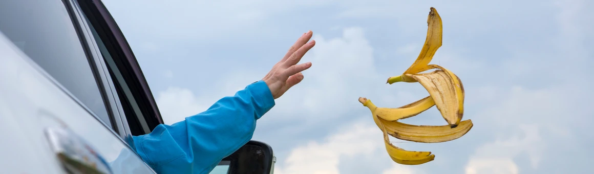 В России разрешили использовать камеры на выброшенный из окна авто мусор