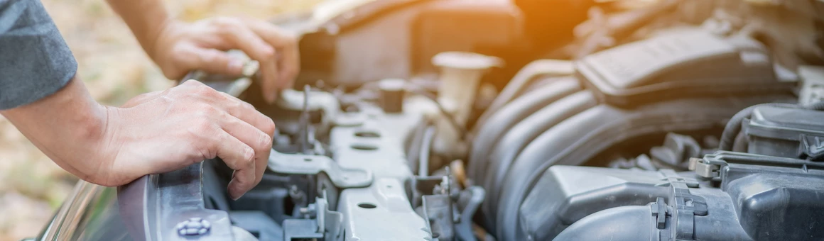 Процедура отмены техосмотра запущена