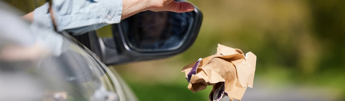 Законопроект о штрафах за выброс мусора из машин одобрен Госдумой