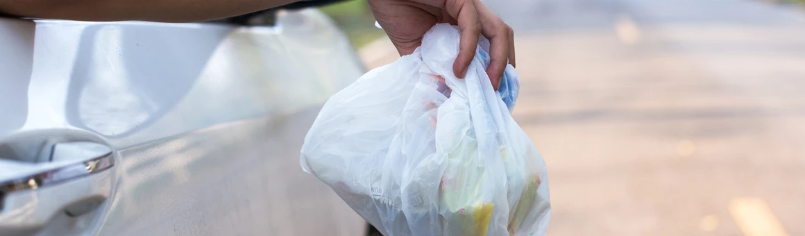 Штрафы за мусор из машины появились в Административном кодексе