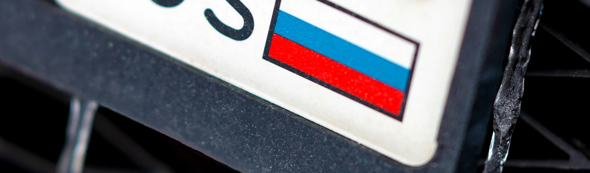 Особенности национального автомобильного номера: можно с флагом, можно без него